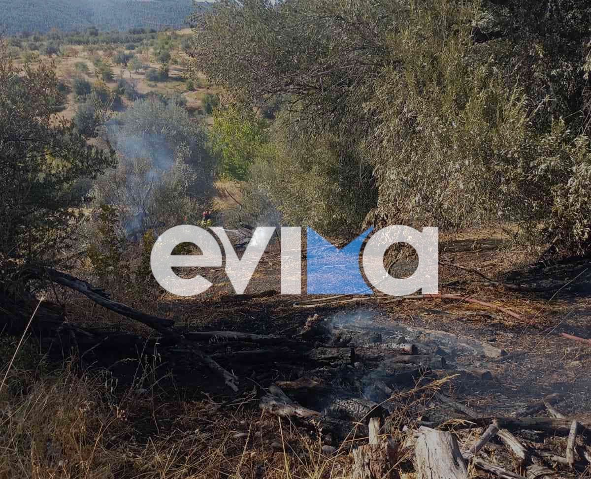 Φωτιά τώρα στην Εύβοια Φωτιά τώρα στην Εύβοια