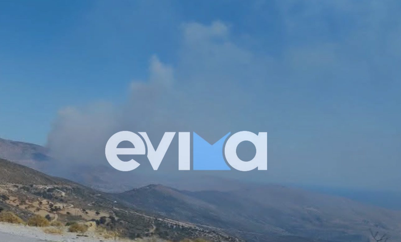 Φωτιά τώρα στην Κάρυστο – Σηκώθηκαν εναέρια μέσα Φωτιά τώρα στην Κάρυστο – Σηκώθηκαν εναέρια μέσα