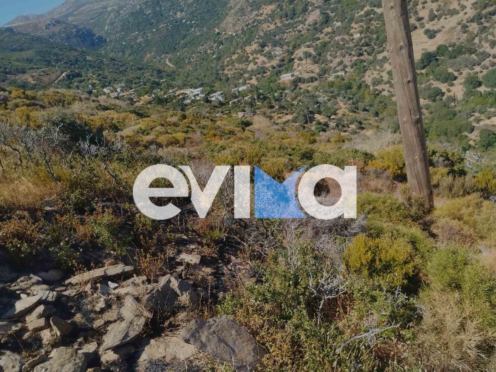 Νέα φωτιά στην Κάρυστο Ευβοίας Νέα φωτιά στην Κάρυστο Ευβοίας