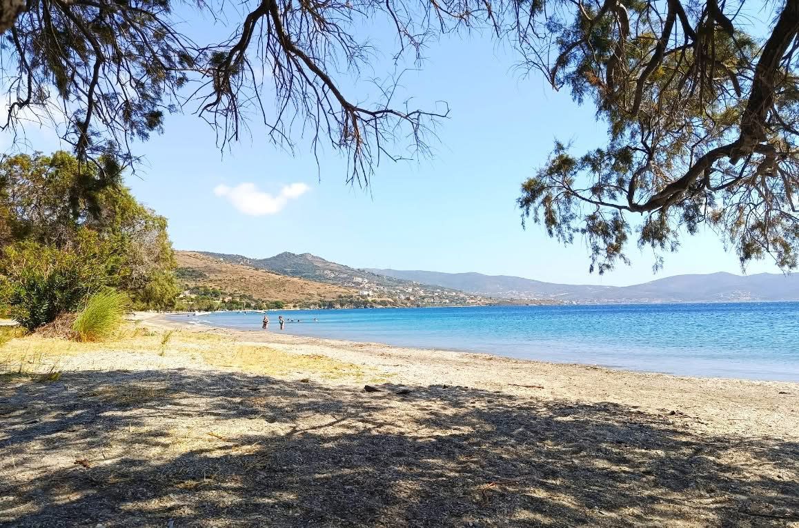 Εύβοια: Η παραλία που σε κάνει να νιώθεις ότι ο χρόνος κυλά πιο αργά! Εύβοια: Η παραλία που σε κάνει να νιώθεις ότι ο χρόνος κυλά πιο αργά!