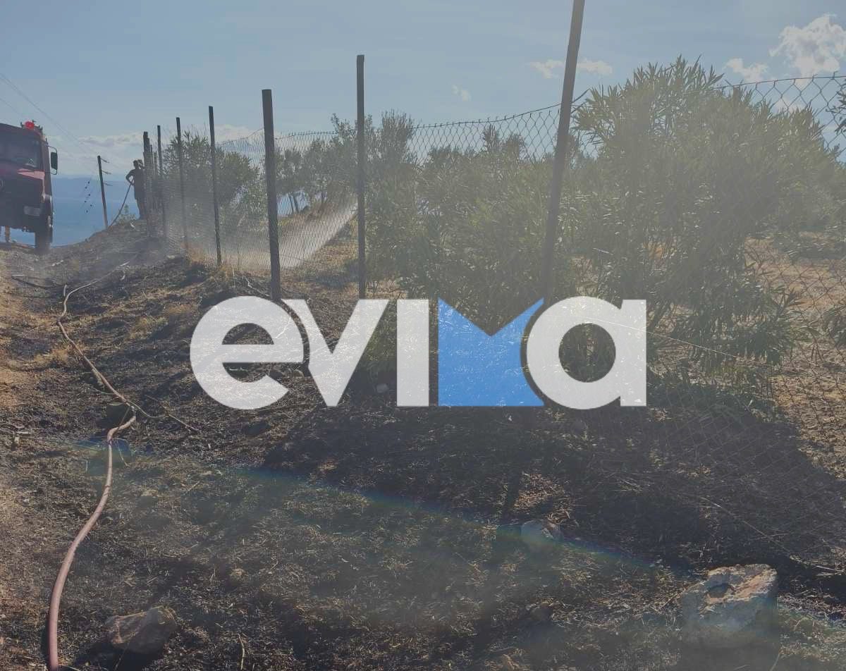 Φωτιά στη Βόρεια Εύβοια δίπλα σε δρόμο Φωτιά στη Βόρεια Εύβοια δίπλα σε δρόμο