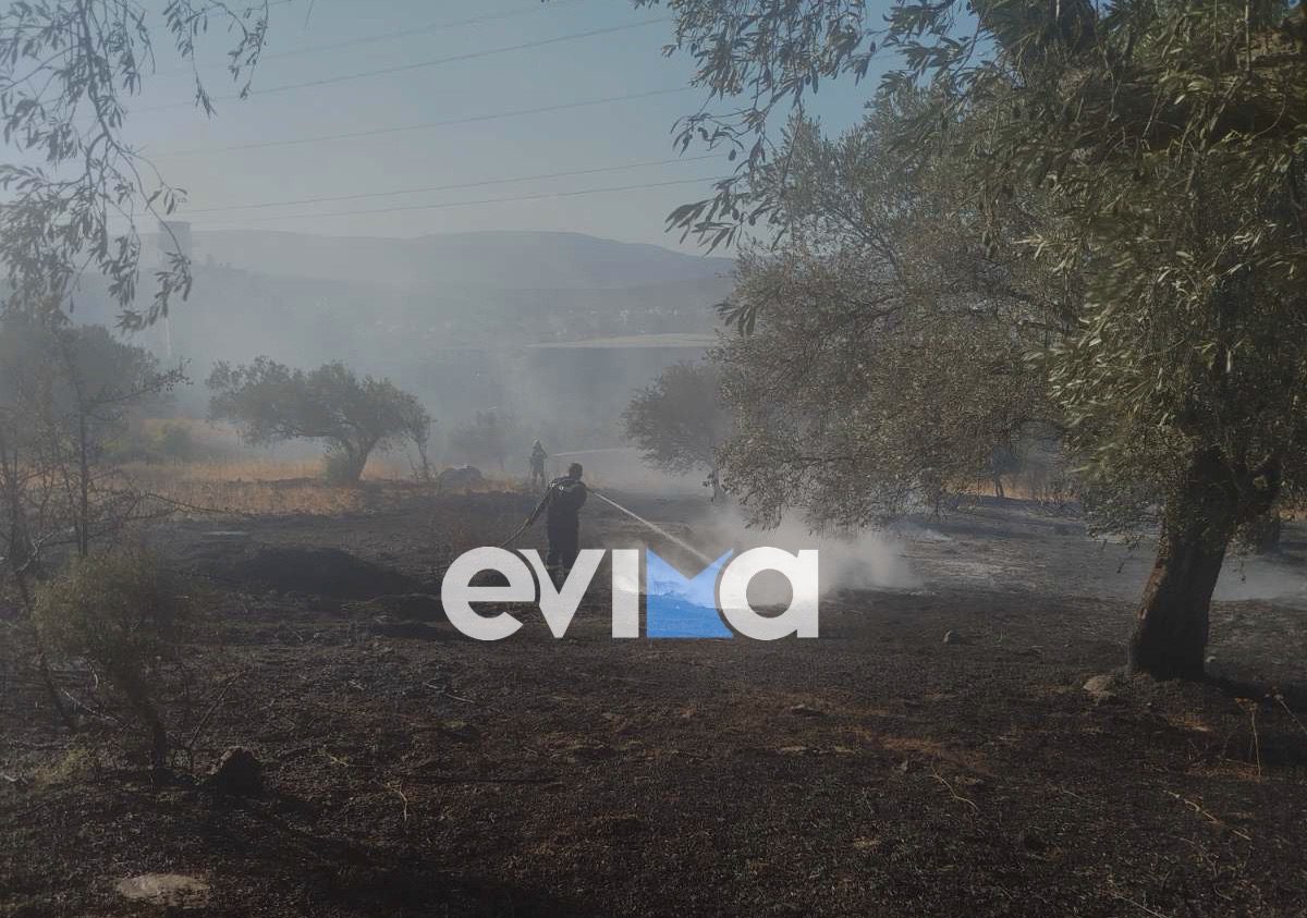 Οριοθετήθηκε η φωτιά στην Εύβοια: Πυροσβέστες και εθελοντές έσωσαν το εργοστάσιο της ΔΕΗ – Νέα βίντεο Οριοθετήθηκε η φωτιά στην Εύβοια: Πυροσβέστες και εθελοντές έσωσαν το εργοστάσιο της ΔΕΗ – Νέα βίντεο