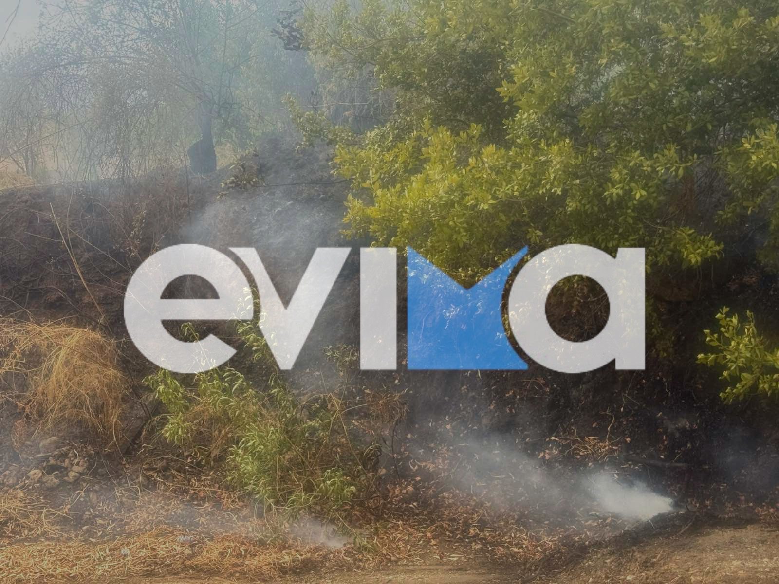 Φωτιά τώρα στην Εύβοια – Οι πρώτες εικόνες Φωτιά τώρα στην Εύβοια – Οι πρώτες εικόνες