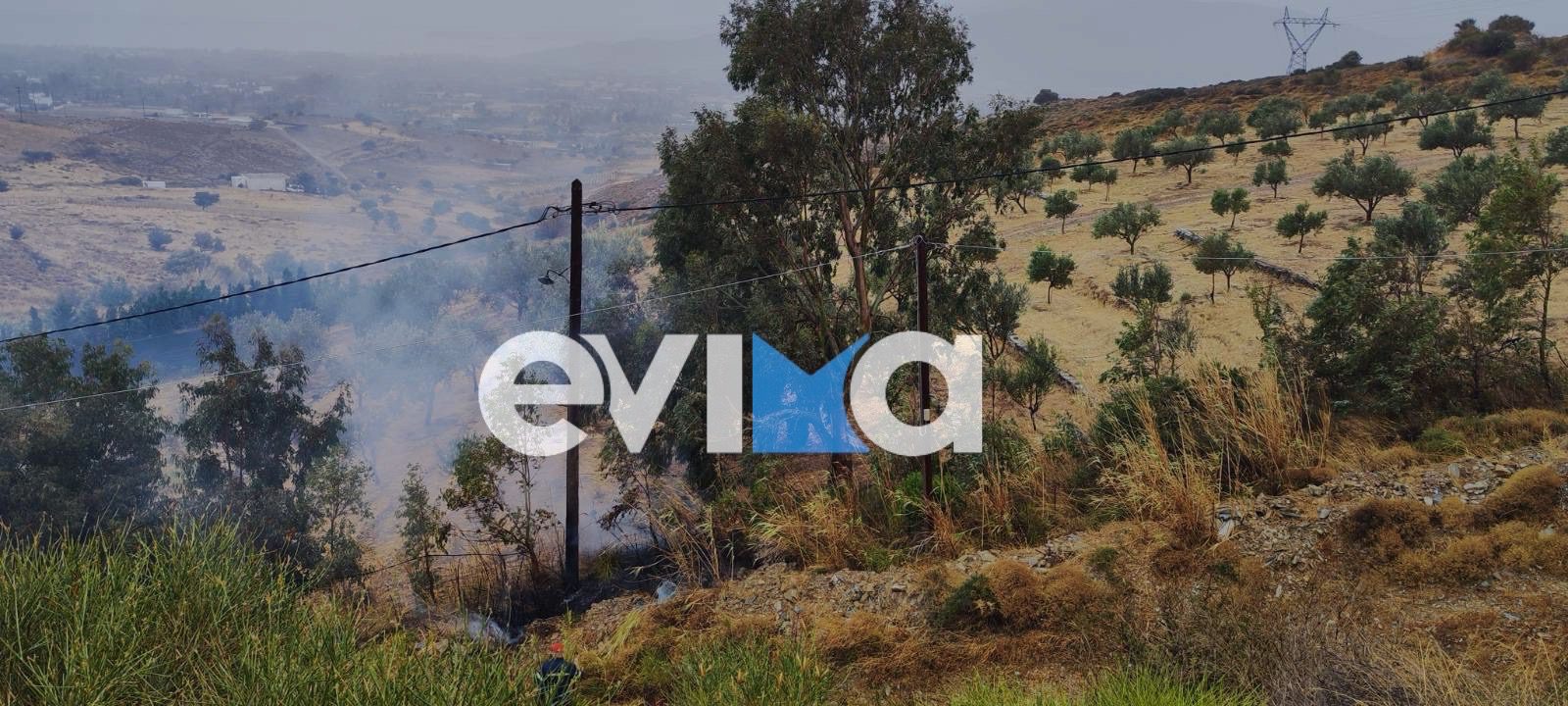Φωτιά τώρα στην Εύβοια Φωτιά τώρα στην Εύβοια