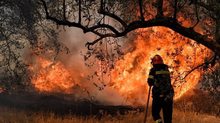 Έκτακτη οικονομική ενίσχυση σε πυρόπληκτους: Αυτοί θα πάρουν λεφτά Έκτακτη οικονομική ενίσχυση σε πυρόπληκτους: Αυτοί θα πάρουν λεφτά