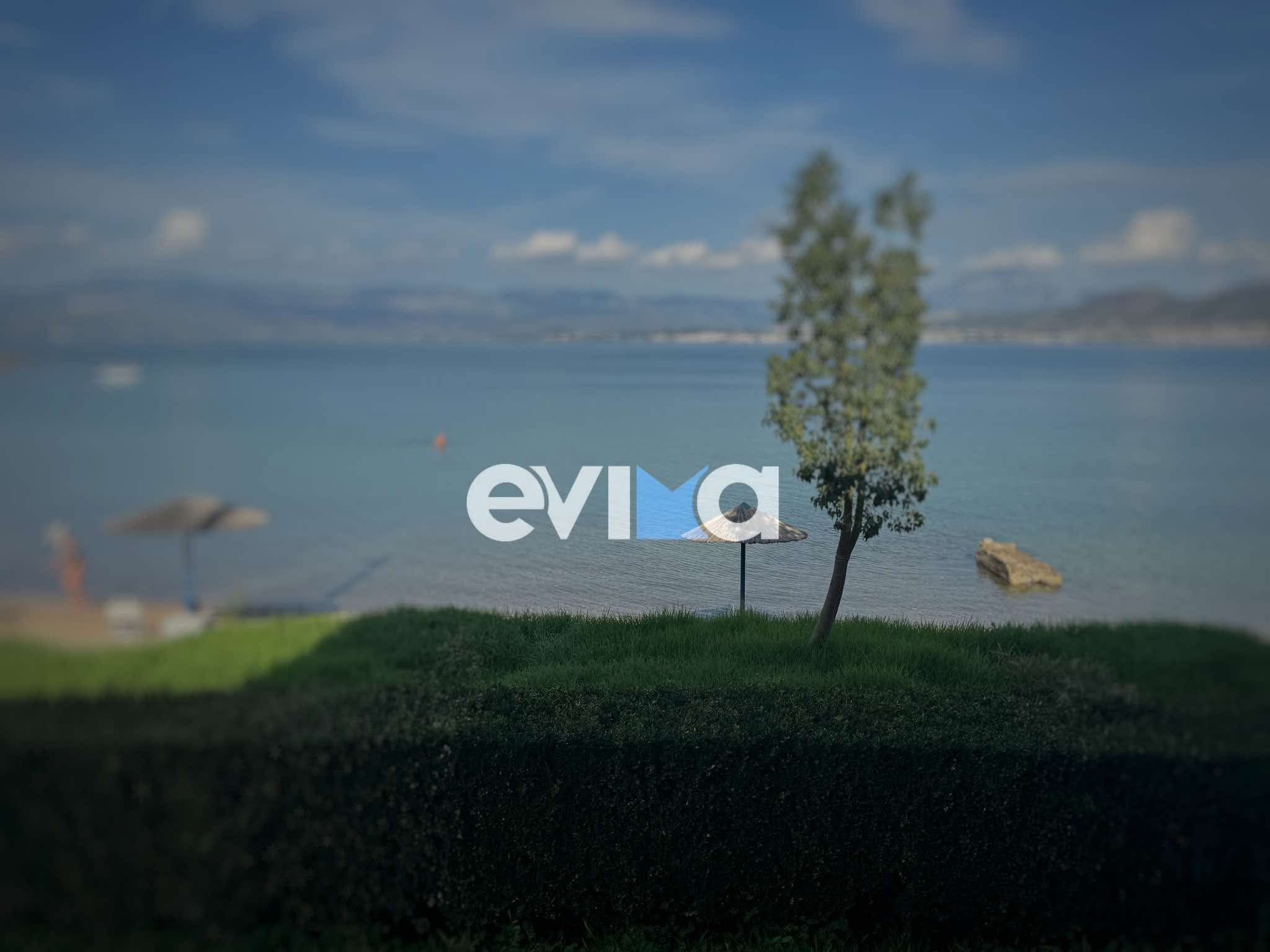 Τρόμος στη Χαλκίδα: Τσούχτρα τσίμπησε χειμερινό κολυμβητή Τρόμος στη Χαλκίδα: Τσούχτρα τσίμπησε χειμερινό κολυμβητή
