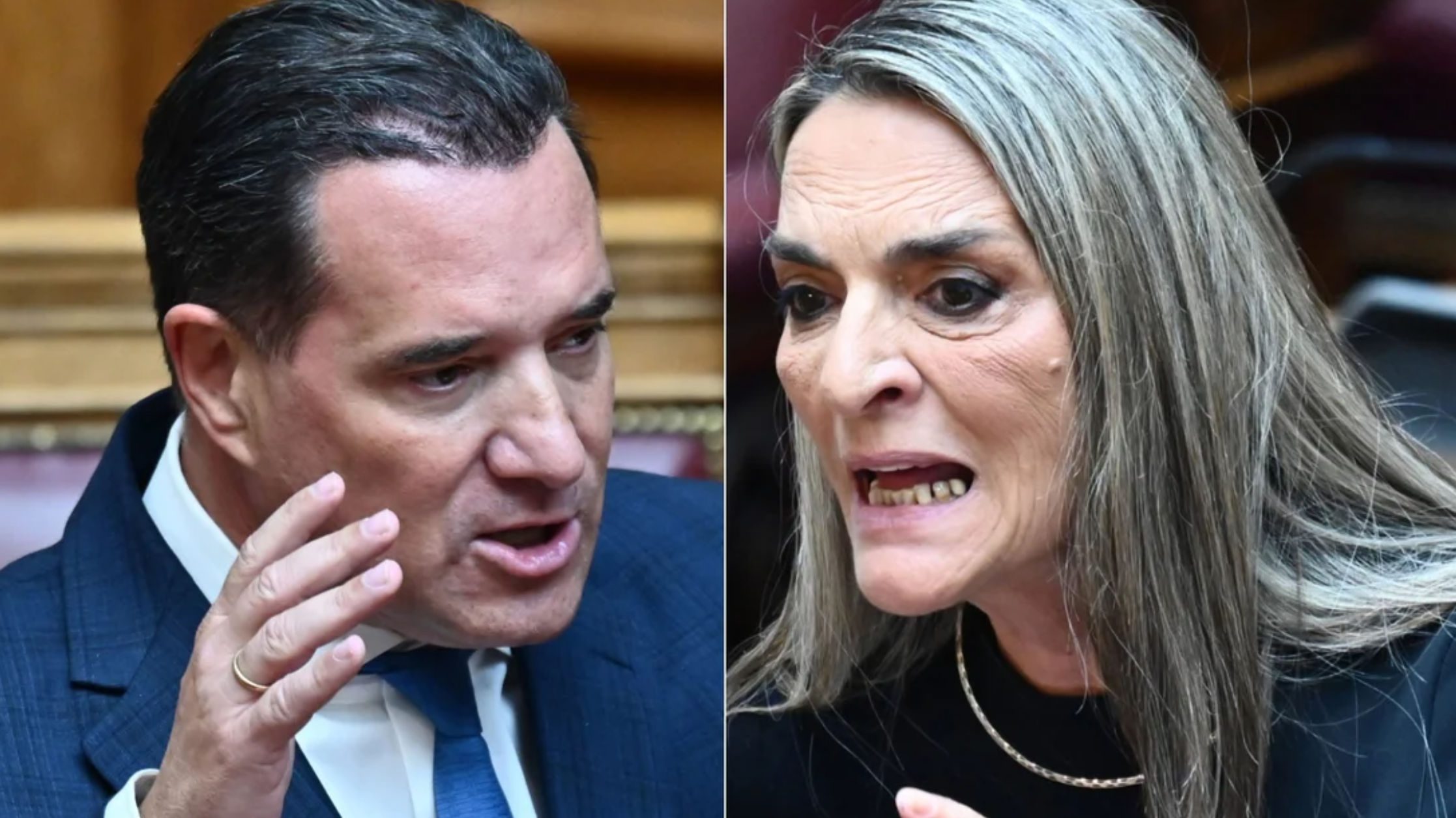 Χαμός στη Βουλή: «Δεν σας απήγαγε κανείς, πήγατε στη Γάζα για τις σέλφι» – Άγρια κόντρα Γεωργιάδη-Πέρκα Χαμός στη Βουλή: «Δεν σας απήγαγε κανείς, πήγατε στη Γάζα για τις σέλφι» – Άγρια κόντρα Γεωργιάδη-Πέρκα