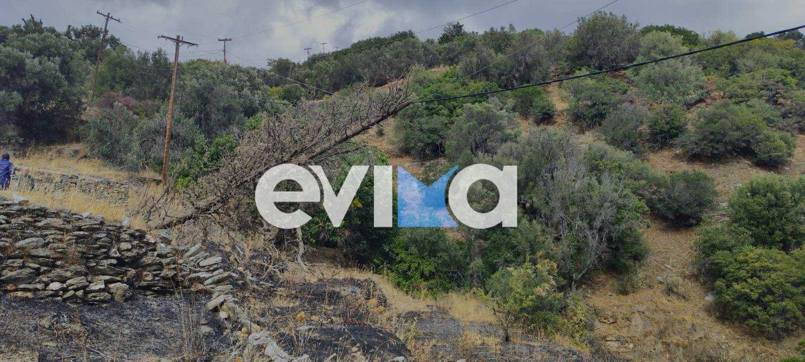 Νέα φωτιά το μεσημέρι της Τρίτης στην Εύβοια Νέα φωτιά το μεσημέρι της Τρίτης στην Εύβοια