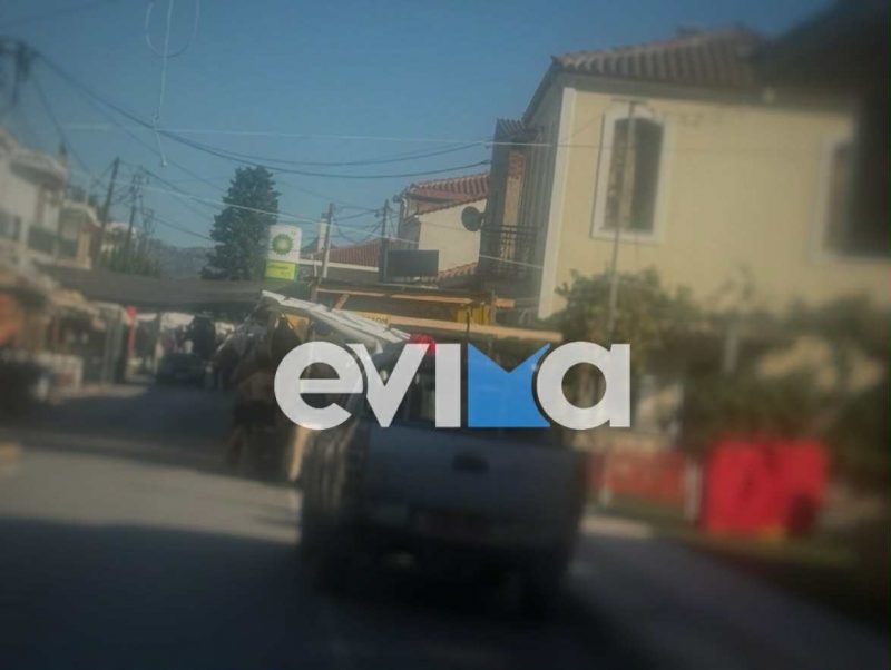 Ξεκίνησε σήμερα το μεγάλο Παζάρι του Αυλωναρίου στην Εύβοια – Εικόνες Ξεκίνησε σήμερα το μεγάλο Παζάρι του Αυλωναρίου στην Εύβοια – Εικόνες