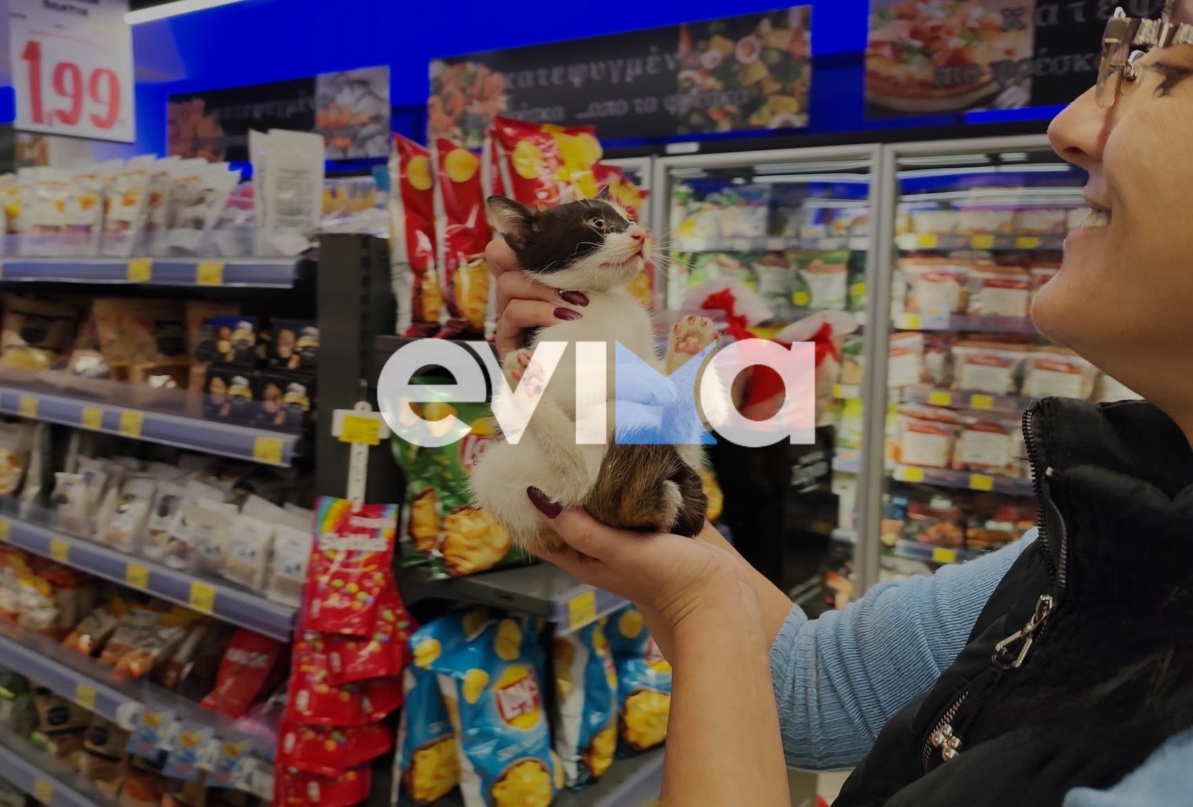 Συναγερμός στην Εύβοια: Εγκλωβίστηκε γατάκι σε ψυγείο σουπερμάρκετ Συναγερμός στην Εύβοια: Εγκλωβίστηκε γατάκι σε ψυγείο σουπερμάρκετ
