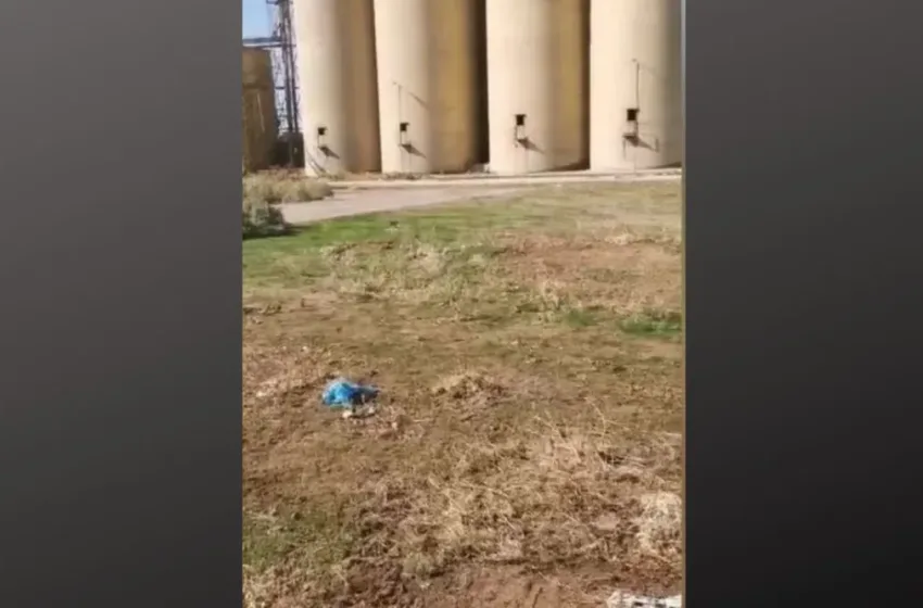 Συναγερμός για δεκάδες νεκρά ζώα στη Ροδόπη: Βρέθηκαν σε εγκαταλελειμμένη περιοχή Συναγερμός για δεκάδες νεκρά ζώα στη Ροδόπη: Βρέθηκαν σε εγκαταλελειμμένη περιοχή