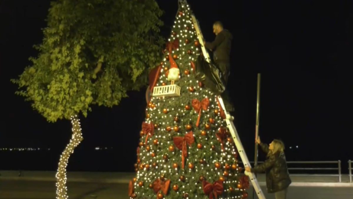 Στόλισαν το πρώτο Χριστουγεννιάτικο δέντρο για φέτος – Δείτε την περιοχή Στόλισαν το πρώτο Χριστουγεννιάτικο δέντρο για φέτος – Δείτε την περιοχή
