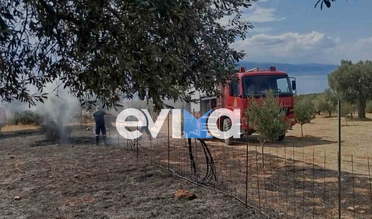 Φωτιά τώρα στην Εύβοια Φωτιά τώρα στην Εύβοια