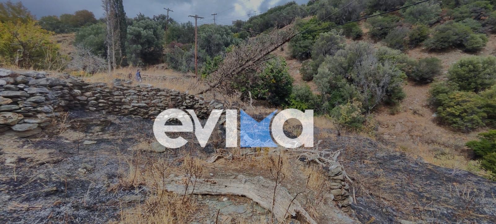 Φωτιά στη Νότια Εύβοια – Που εκδηλώθηκε Φωτιά στη Νότια Εύβοια – Που εκδηλώθηκε