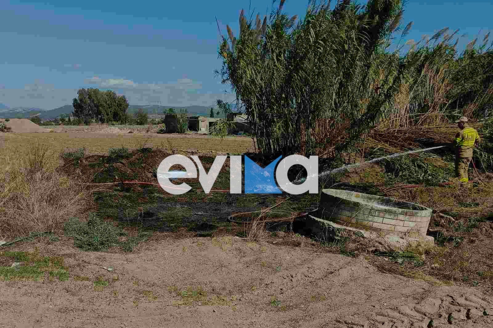 Νέα φωτιά τώρα στην Εύβοια Νέα φωτιά τώρα στην Εύβοια