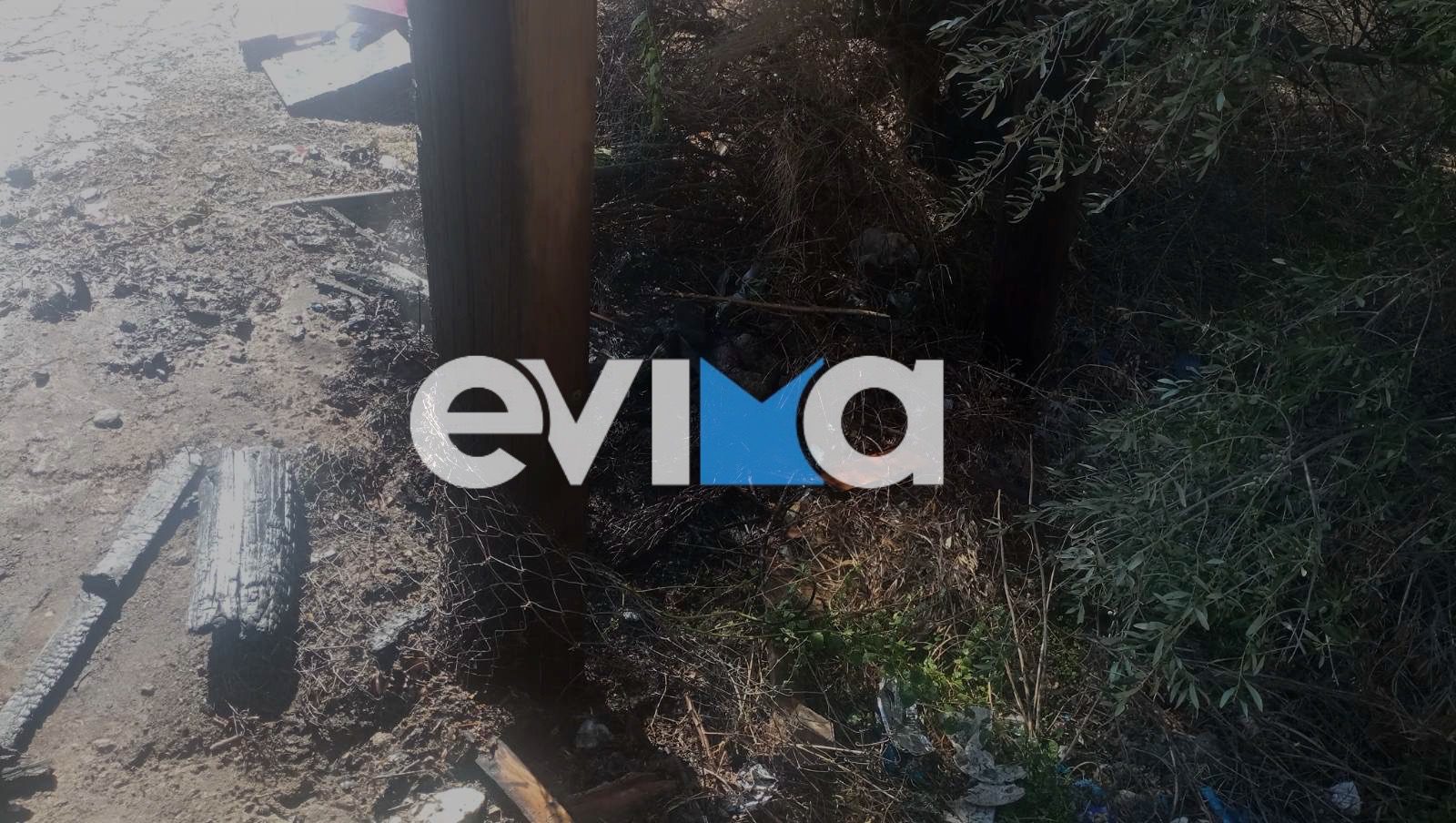 Φωτιά σε σκουπίδια και κολώνα της ΔΕΗ στην Εύβοια – Που ξέσπασε η πυρκαγιά Φωτιά σε σκουπίδια και κολώνα της ΔΕΗ στην Εύβοια – Που ξέσπασε η πυρκαγιά