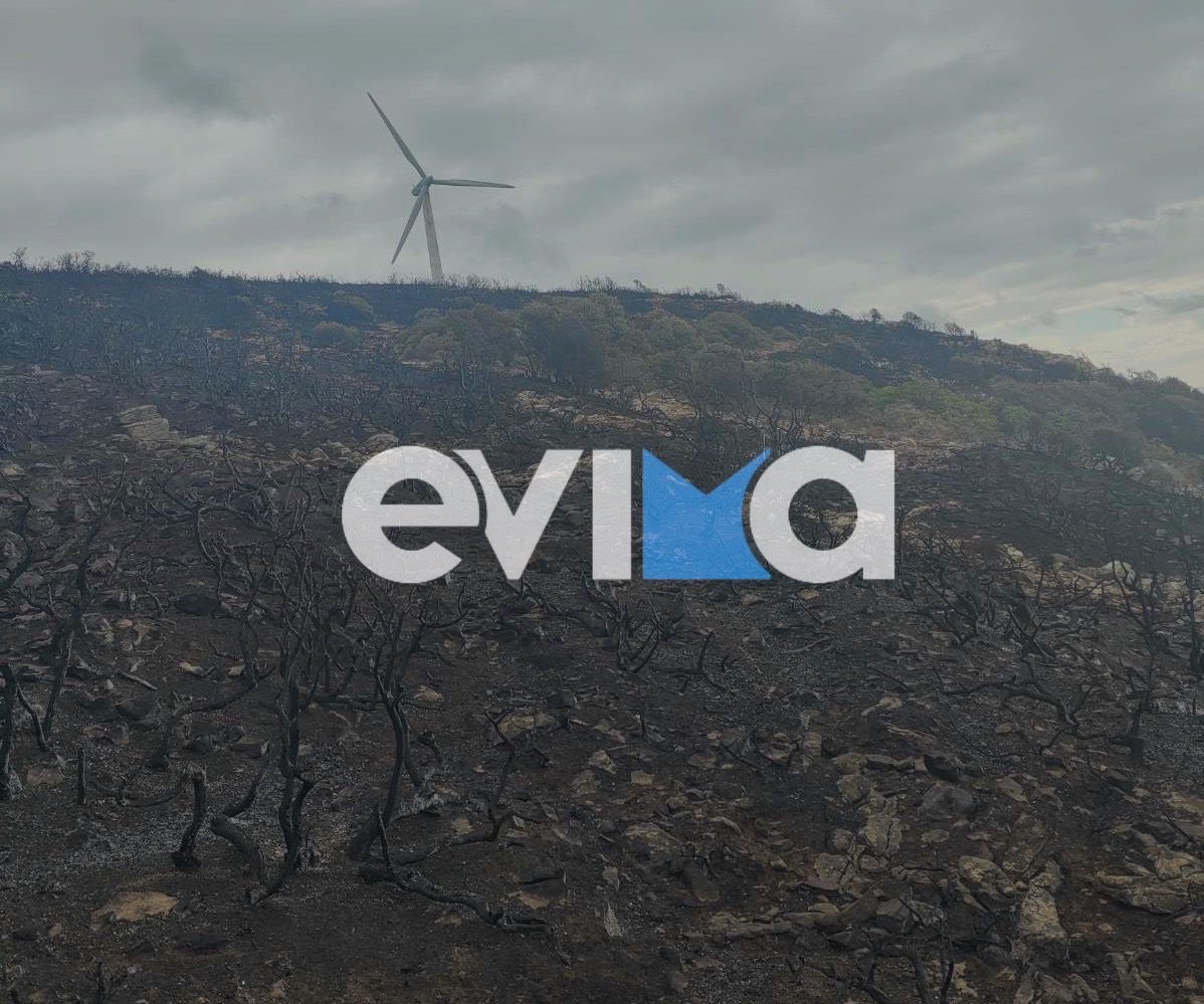 Φωτιά στην Εύβοια: Πόσα στρέμματα δάσους κάηκαν στα Ζάρκα Φωτιά στην Εύβοια: Πόσα στρέμματα δάσους κάηκαν στα Ζάρκα