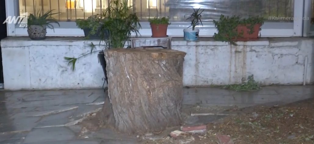 Τεράστιος κορμός δέντρου έπεσε δίπλα σε τραπεζοκαθίσματα στο Μοναστηράκι Τεράστιος κορμός δέντρου έπεσε δίπλα σε τραπεζοκαθίσματα στο Μοναστηράκι