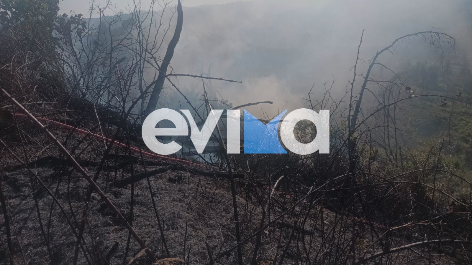 Φωτιά τώρα στην Εύβοια Φωτιά τώρα στην Εύβοια