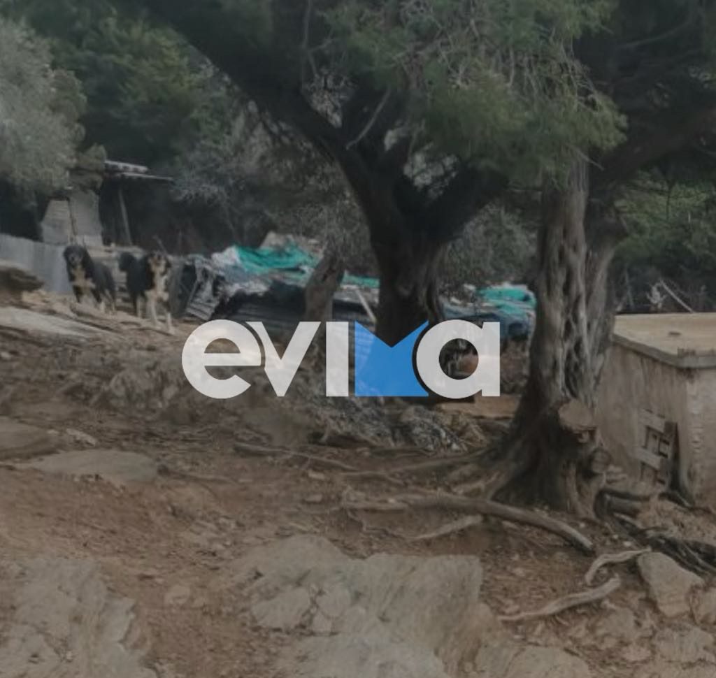 Τραγωδία στην Εύβοια: Πέθανε η 53χρονη που την χτυπούσε ο άντρας της Τραγωδία στην Εύβοια: Πέθανε η 53χρονη που την χτυπούσε ο άντρας της
