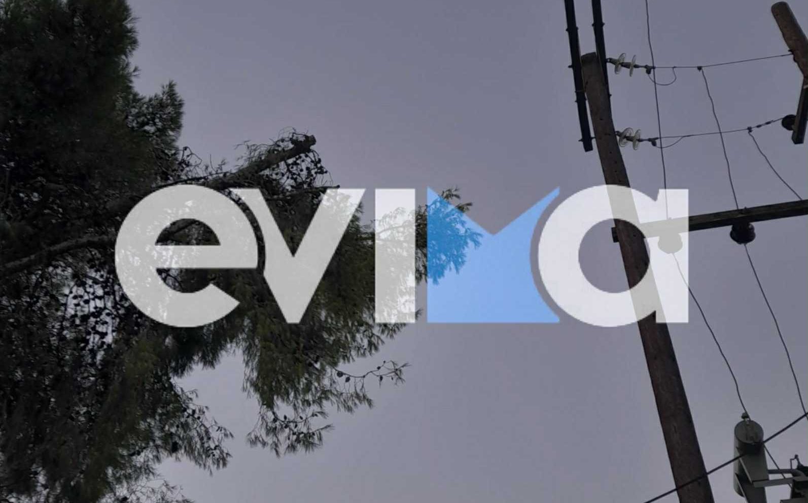 Άμεση ανταπόκριση μετά το ρεπορτάζ του evima.gr: Απομακρύνθηκε επικίνδυνο πεύκο στην Εύβοια (εικόνα) Άμεση ανταπόκριση μετά το ρεπορτάζ του evima.gr: Απομακρύνθηκε επικίνδυνο πεύκο στην Εύβοια (εικόνα)