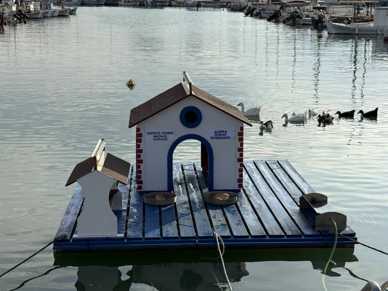 Εύβοια: Απέκτησαν ξανά σπιτάκι οι πάπιες της Νέας Αρτάκης