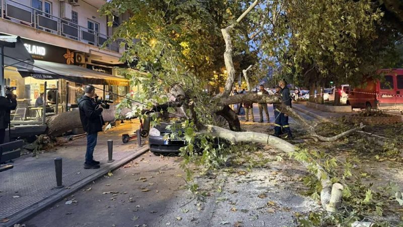 Δέντρο πλάκωσε αμάξι Δέντρο πλάκωσε αμάξι