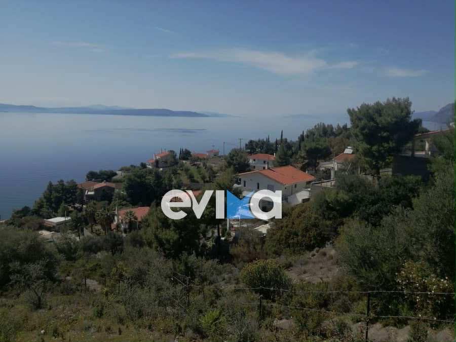 Τραγωδία στην Εύβοια: Εδώ βρέθηκε νεκρός ο 60χρονος – Όλα τα νέα στοιχεία Τραγωδία στην Εύβοια: Εδώ βρέθηκε νεκρός ο 60χρονος – Όλα τα νέα στοιχεία