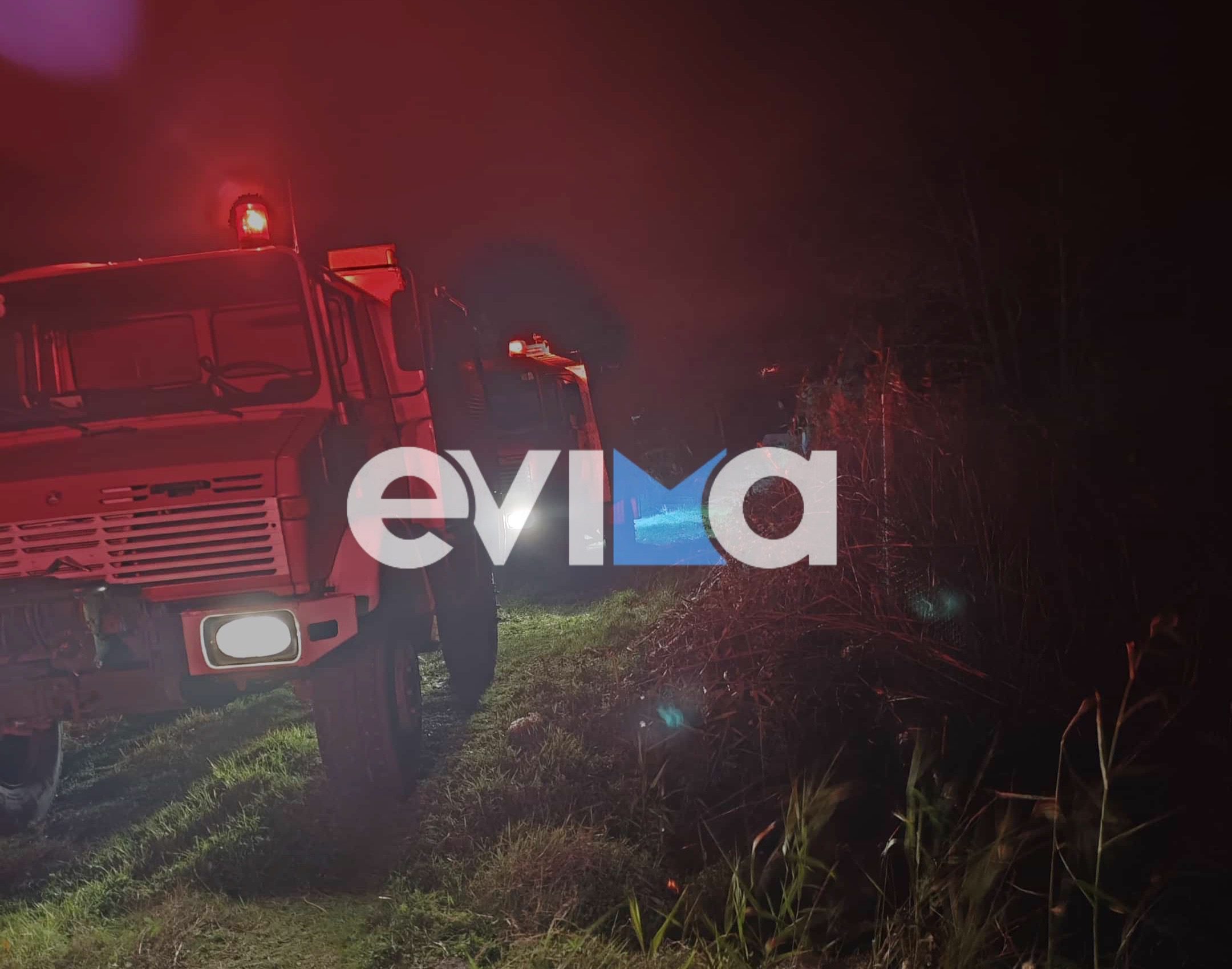 Φωτιά σε αγροτική έκταση στην Εύβοια