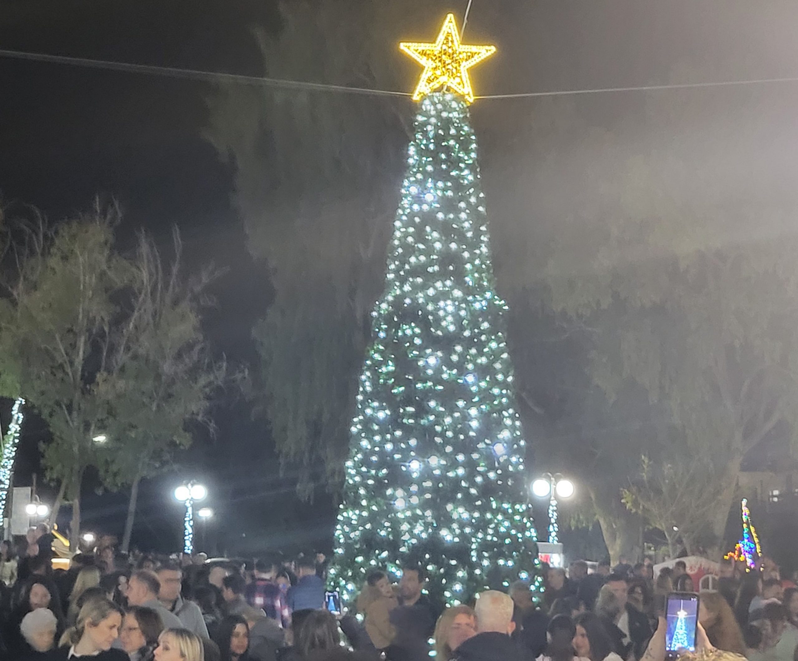 Χριστούγεννα στην Ερέτρια: Έλαμψε η πόλη με το άναμμα του δέντρου