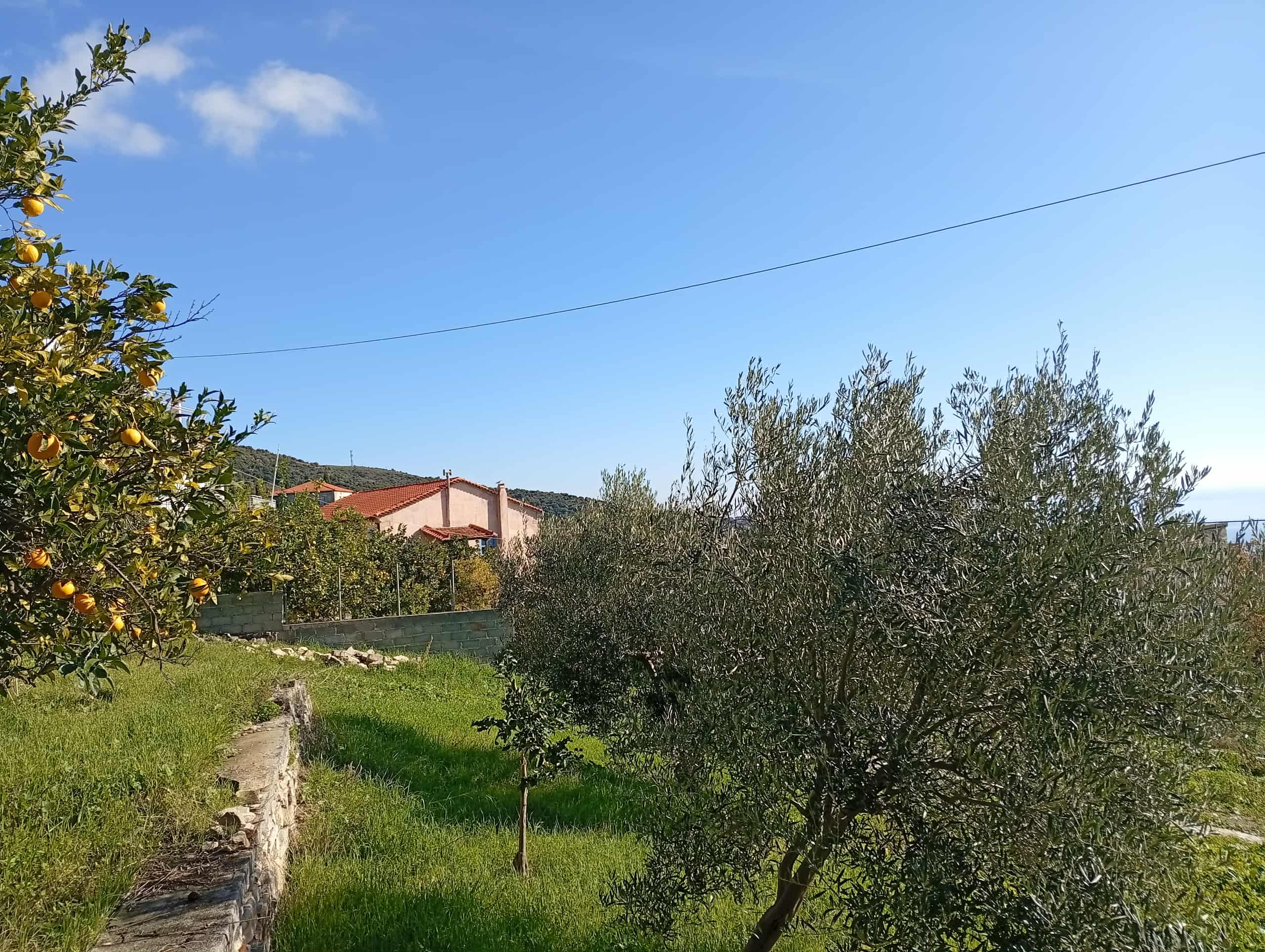 Καιρός: Αραιή συννεφιά και υψηλές θερμοκρασίες σήμερα στην Εύβοια