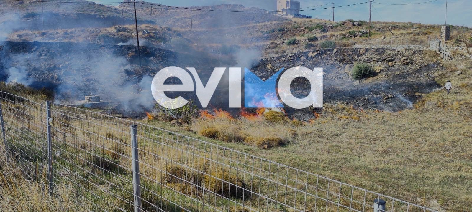 Φωτιά τώρα στην Εύβοια – Καίει δασική έκταση Φωτιά τώρα στην Εύβοια – Καίει δασική έκταση