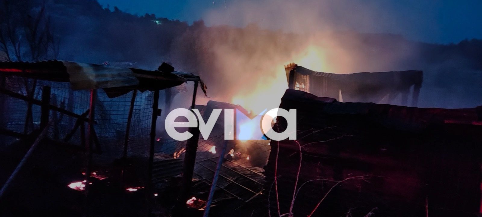 Φωτιά σε μαντρί στην Εύβοια: Καταστράφηκε ολοσχερώς – Κάηκαν ζώα (εικόνες)