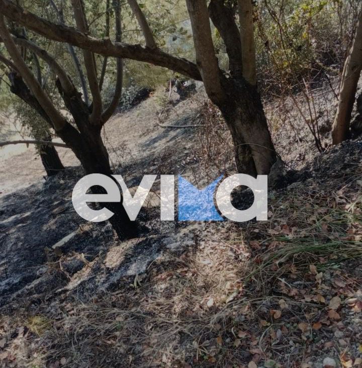 Φωτιά στην Εύβοια: Στο αυτόφωρο ηλικιωμένος, και βαρύ πρόστιμο