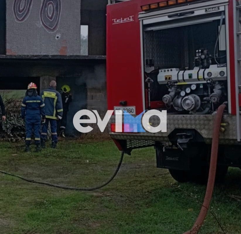 Φωτιά τώρα στην Εύβοια