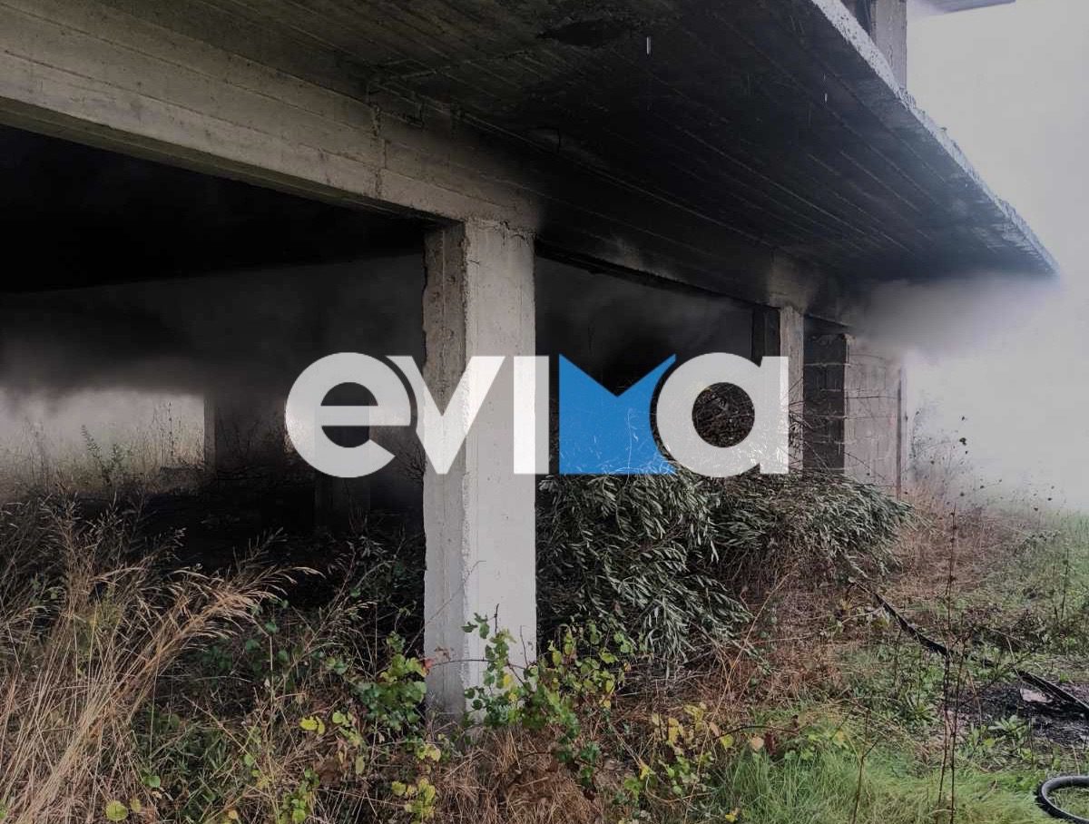 Φωτιά τώρα στην Εύβοια