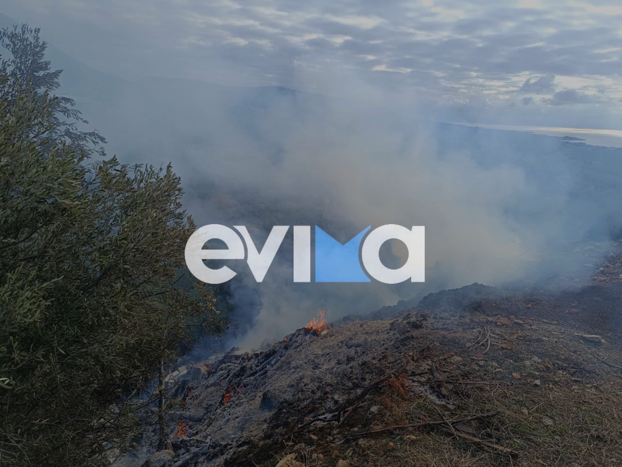 Φωτιά σε δασική έκταση στην Εύβοια