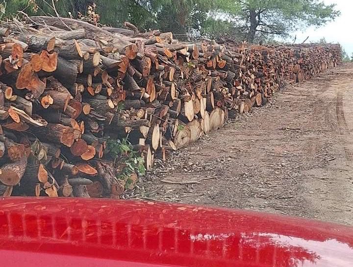 Αυτό το χωριό στην Εύβοια θα προμηθευτεί με καυσόξυλα από το Δασαρχείο