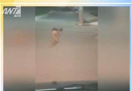 Λύκος έκανε βόλτα σε Άνω Λιόσια και Πετρούπολη