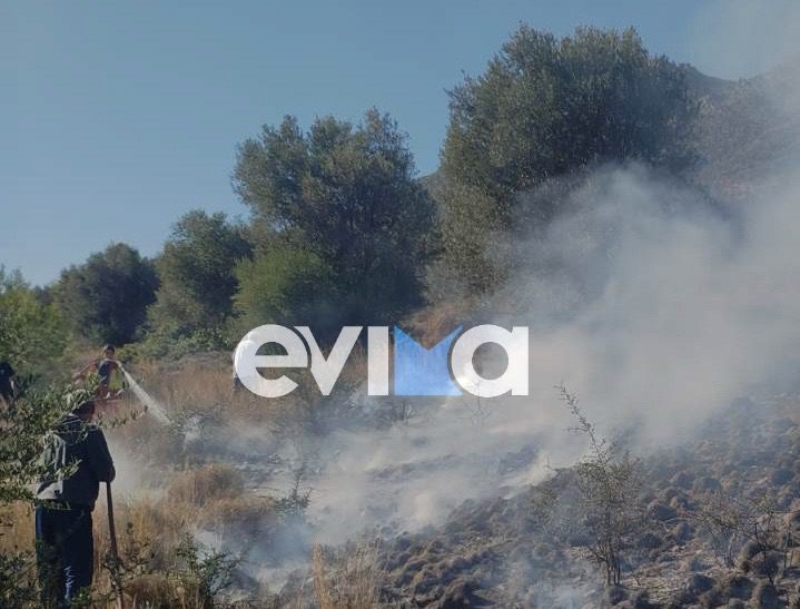 Φωτιά τώρα στην Εύβοια