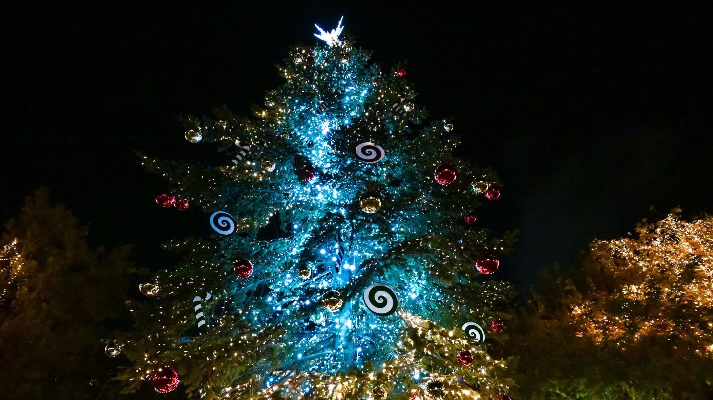 Η Αθήνα ετοιμάζεται να λάμψει και τα φετινά Χριστούγεννα! Πότε ανάβει το δέντρο