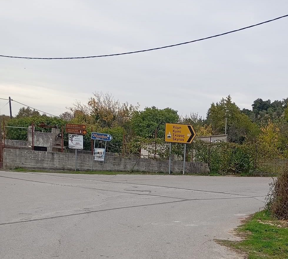 Νέος οδικός άξονας από Χαλκίδα έως Κύμη; Τι είπε η Καραμπατσώλη στον Μητσοτάκη