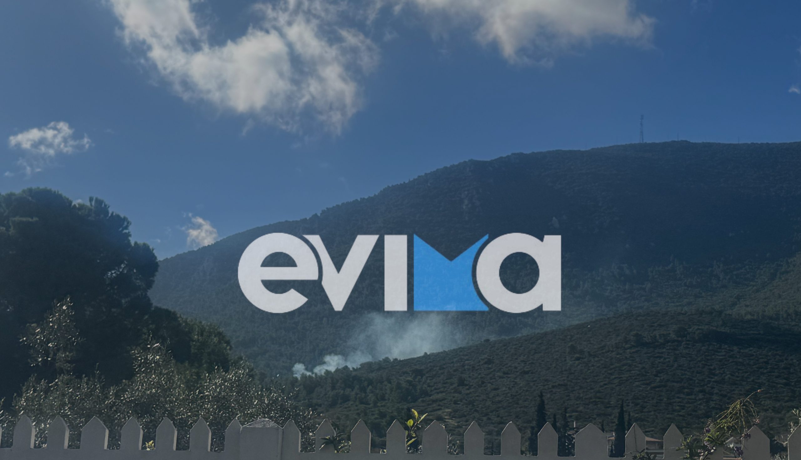 Φωτιά τώρα σε δασική έκταση στην Εύβοια