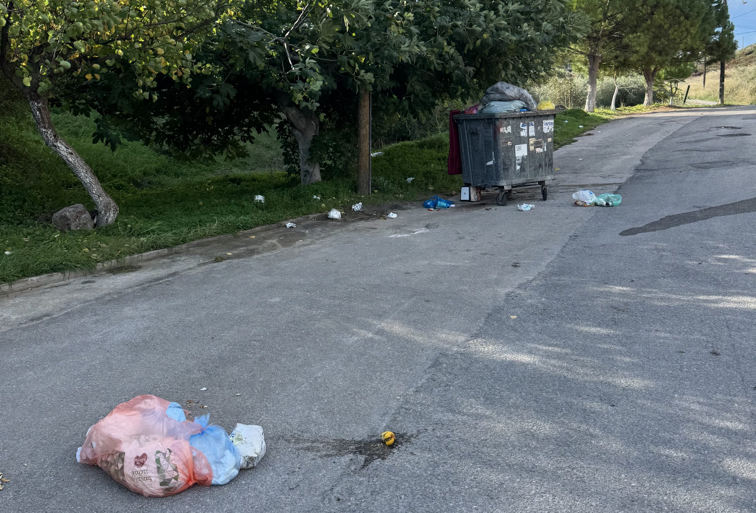 Η Χαλκίδα «πνίγεται» στα σκουπίδια: Άγνωστη λέξη η αποκομιδή για τις Ροδιές