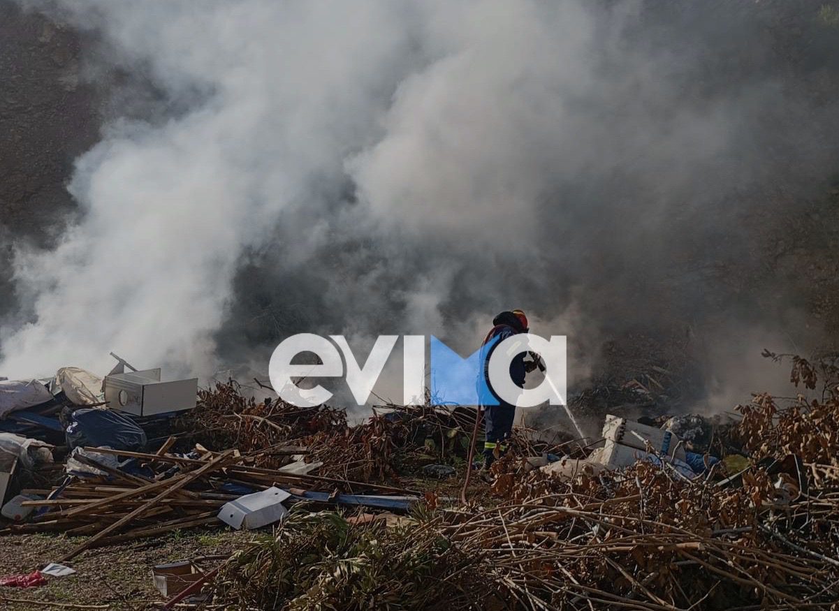 Νέα φωτιά στην Εύβοια: Τι λέει στο evima.gr ο διοικητής της Πυροσβεστικής