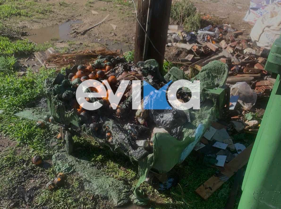 Φωτιά σε κάδο απορριμμάτων στην Κάρυστο