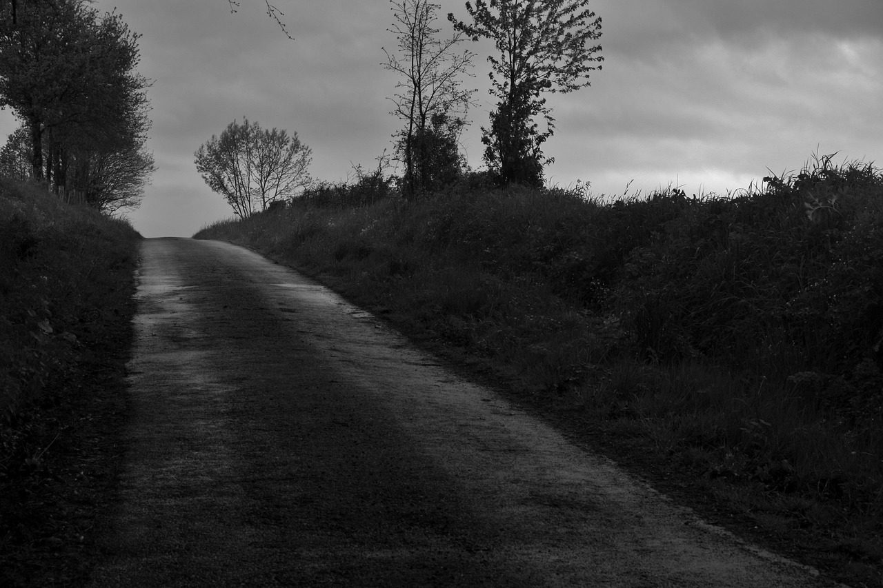 Μεγάλη προσοχή σε αυτόν τον δρόμο της Εύβοιας – Τι έχει συμβεί