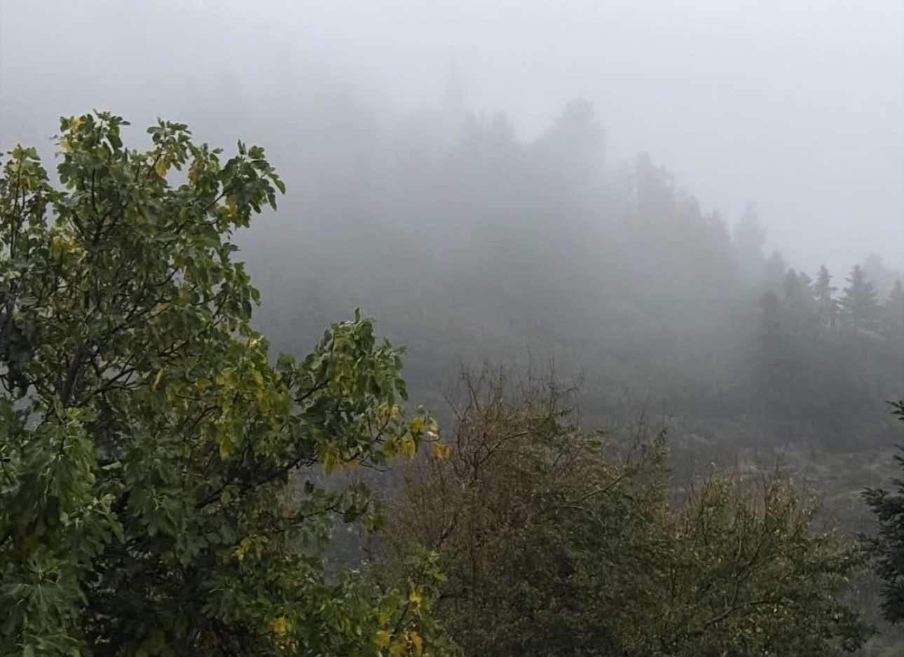 Καιρός: Βροχές, καταιγίδες και πτώση θερμοκρασίας σήμερα στην Εύβοια