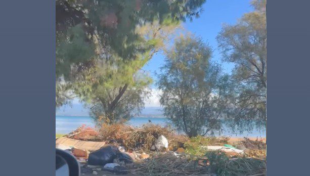 Αδιανόητο περιστατικό στην Εύβοια: Μετέτρεψαν παραλία σε σκουπιδότοπο