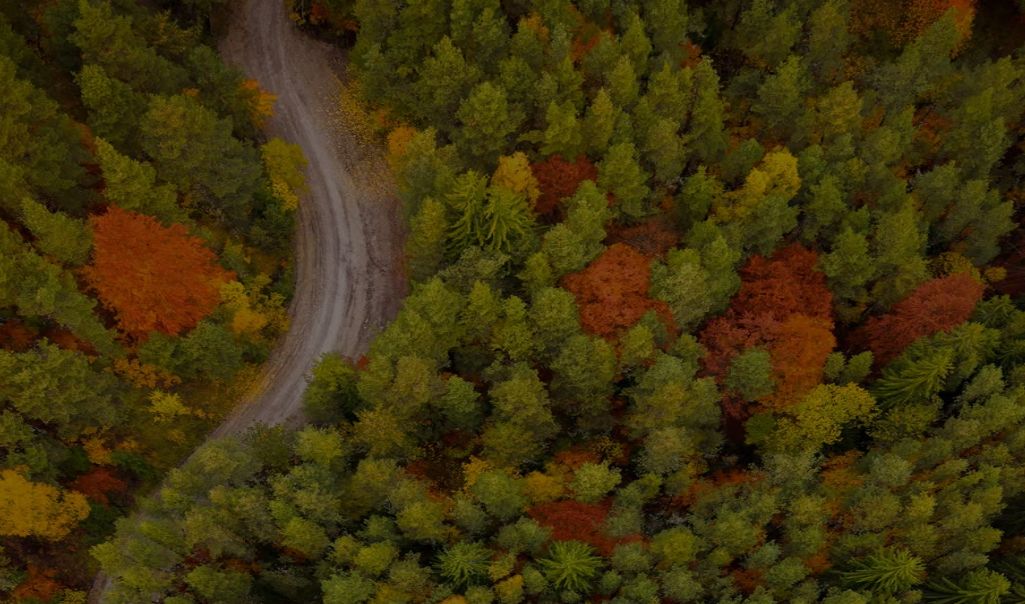 Αυτή είναι η ομορφότερη διαδρομή στην Ελλάδα – Δείτε πού βρίσκεται